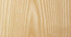 ash-crown-cut.jpg ash-crown-cut.jpg